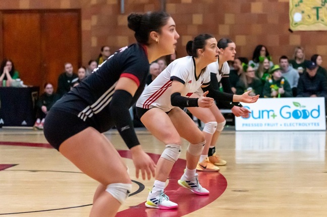 Seawolves Outlast Tommies in Five-Set Thriller to Reach ACAA Final